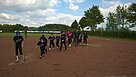 Tee-Ball in Marl - Sly Dogs