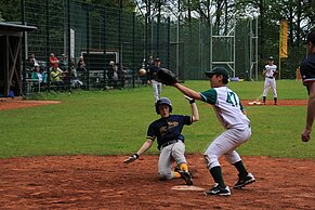 Baseball in Marl, Jugend Sly Dogs