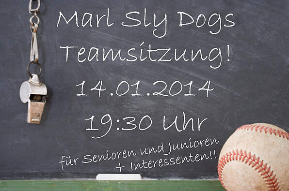 Teamsitzung Baseball - Marl Sly Dogs