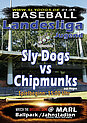 Jugend-Team Marl Sly Dogs